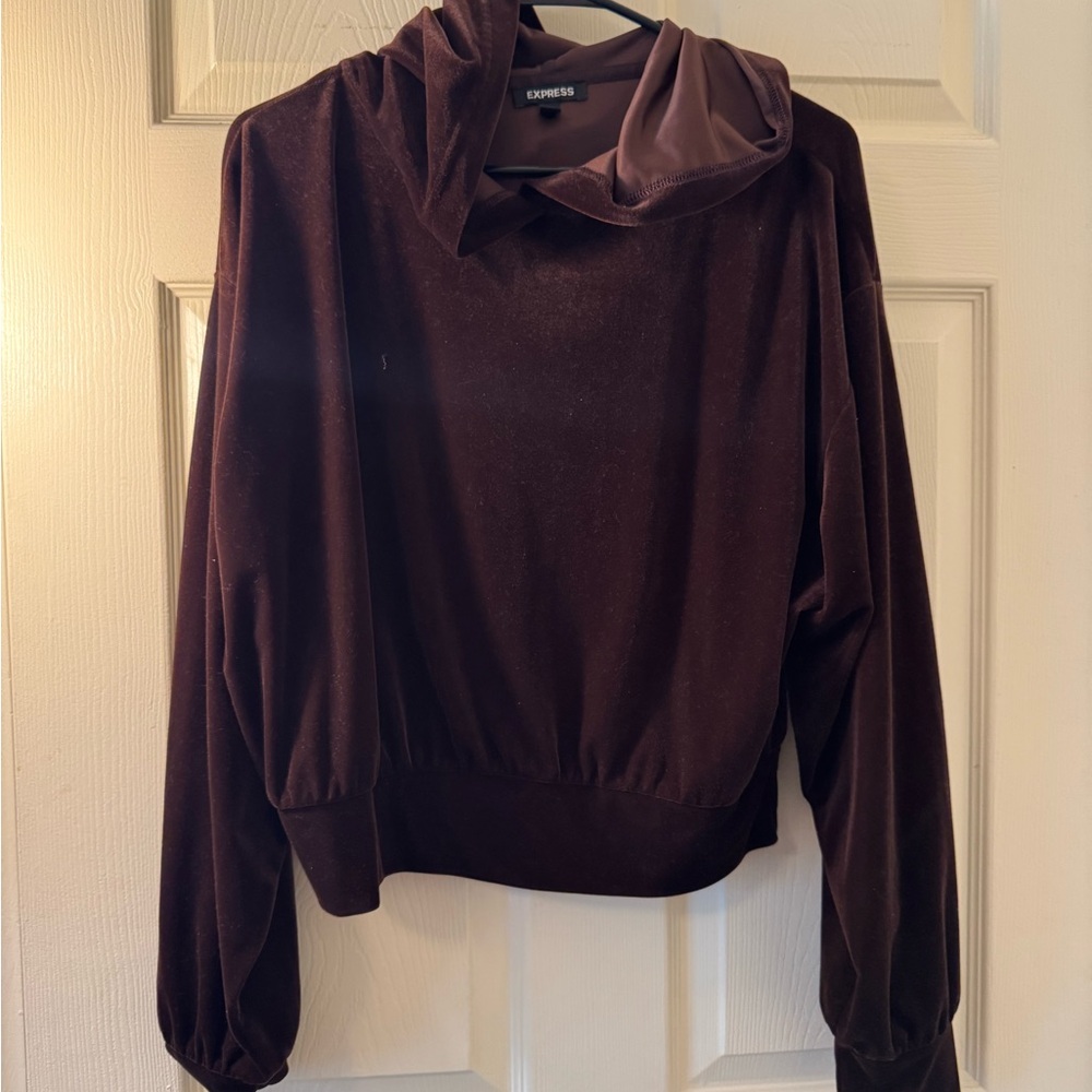 Express Brown Velvet Hoodie